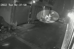 Trộm dùng kìm cộng lực cắt cáp trộm mai cảnh có giá chục triệu