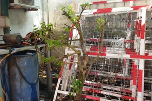 Trộm mai tiền triệu về chơi Tết, 2 thanh niên bị bắt