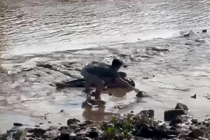 Thi thể thanh niên trôi ở sông Nhà Bè ngày 29 Tết