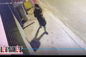 Lời khai kẻ trộm hơn 100 lượng vàng trước ngày Vía Thần Tài