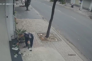 Giám đốc khốn khổ vì công ty bị rải hoa cúc trắng ngày mùng 6 Tết