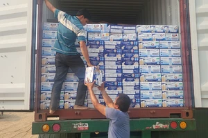 Khởi tố, tạm giam giám đốc Chi nhánh Công ty Busan