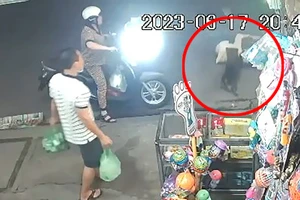 Bị cướp giật điện thoại, người phụ nữ ngã xuống đường và bị chó cắn