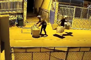 3 thanh niên trộm 7 lồng chim giá tiền triệu Hóc Môn