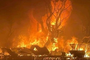 Nhiều vi phạm, tồn tại trong vụ cháy dãy nhà ven kênh Đôi quận 8