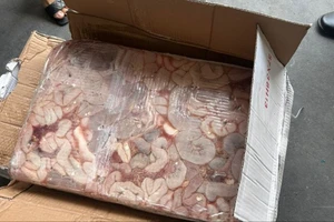 Gần 8 tấn bao tử, dồi trường heo, trứng gà non không rõ nguồn gốc ở TP Thủ Đức