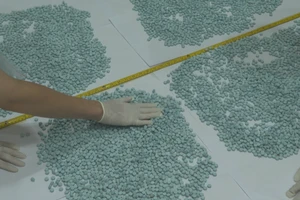 Công an quận Gò Vấp, Phú Nhuận bắt 2 đường dây ma túy rất lớn