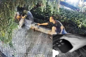 Công an TP.HCM phát cảnh báo về tội phạm dịp Tết