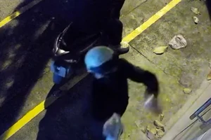 Tá hỏa phát hiện cửa hàng hoa bị xịt sơn, tạt mắm tôm ở Hóc Môn