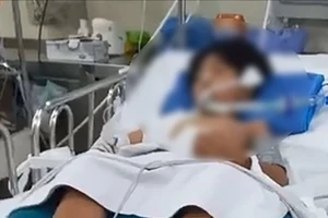 TP.HCM: Bé trai 10 tuổi trên đường đi học về bị nhánh cây rơi trúng đầu nguy kịch