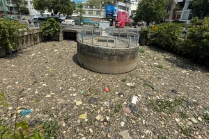 Cá chết đầy kênh đẹp nhất TP.HCM, người dân bịt mũi khi qua lại