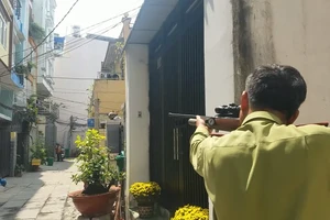 Khỉ đực gần 7kg quậy phá, trộm trái cây... ở Bình Hưng Hòa bị bắn thuốc mê