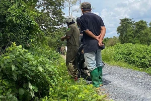 TP.HCM: Người dân tá hỏa khi phát hiện bộ xương người ven bờ kênh Xáng