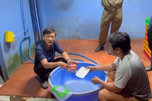 Lời khai nhóm người 'phù phép' thịt lợn sề thành thịt nhím, nai, bắp dê...