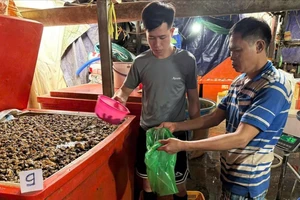 Triệt phá đường dây dùng 500 tấn 'thủy tinh lỏng' ngâm 3.000 tấn thịt ốc bươu