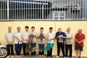 Công an xã Đông Thạnh khởi tố, bắt giam 9 người trộm mèo 