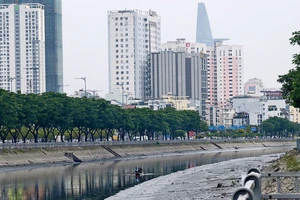 Thản nhiên dùng kích điện tận diệt cá giữa trung tâm TP.HCM