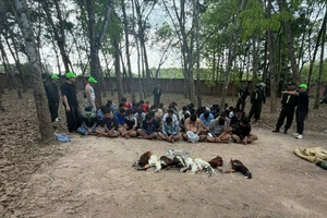 Khởi tố 'Chú 3 Tân Định' cùng 21 đồng phạm vụ sới gà bịp trong rừng cao su