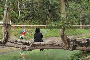 Sự thật ít biết về 'cầu cây gòn' độc lạ 27 năm tuổi tại TP.HCM qua lời kể chủ nhân