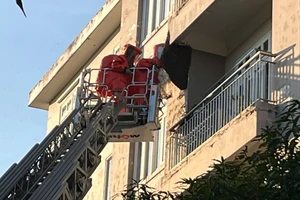 Cảnh sát dùng xe thang di dời tổ ong 'khủng' trên đường Võ Văn Kiệt