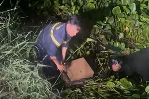 Công an bắt nhóm trộm két sắt, huy động 'người nhái' lặn xuống kênh tìm vật chứng
