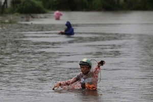 Quảng Nam: Người dân đội mưa bắt cá trong lũ