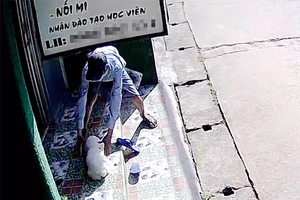 Camera ghi hình kẻ trộm bắt chó cảnh giá 10 triệu ở Thủ Đức