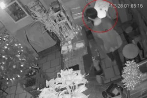 Vừa vào làm ở quán nhậu 1 ngày thì trộm tài sản