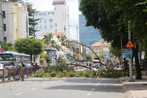 Cây gãy nhánh rơi trúng xe máy chở 3 người