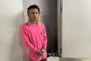 Khởi tố thanh niên trộm heo đất 300 triệu đồng trong ô tô để ở tầng hầm 