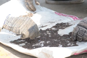 Đinh tặc 'bẫy' người về quê ăn Tết trên Quốc lộ 1