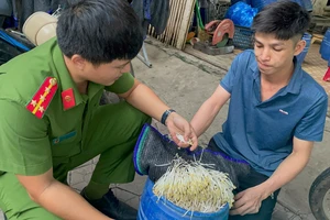 Khởi tố 2 chủ cơ sở sản xuất giá đỗ ủ chất kích thích tăng trưởng