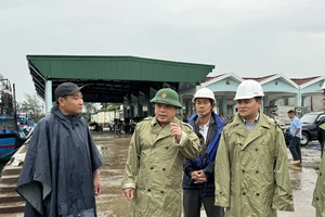 Quảng Ngãi đảm bảo người dân rời khỏi tàu thuyền, lồng bè trước khi bão Trà Mi vào