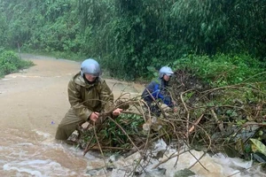 Quảng Ngãi: Mưa lớn, sạt lở núi gây ách tắc Quốc lộ 24C