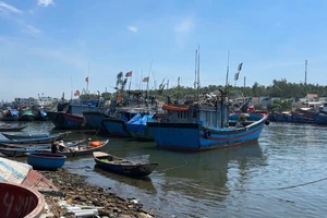 Quảng Ngãi đề nghị 10 tỉnh ngăn chặn 51 tàu cá không lắp giám sát hành trình
