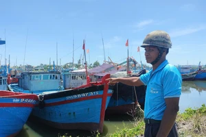 Dự án nâng cấp cảng cá Tịnh Hòa ì ạch, Quảng Ngãi chỉ đạo khẩn