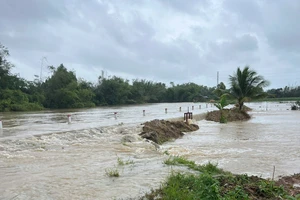 Lũ lên nhanh trên các sông ở Quảng Ngãi