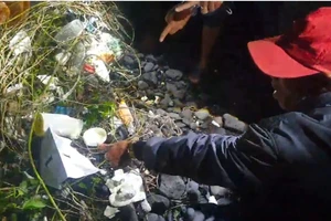 Không tìm thấy chất ma túy trong 3.017 viên nén màu trắng dạt vào bờ biển Quảng Ngãi