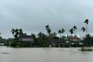 Cảnh báo lũ lụt, sạt lở, lũ quét ở Quảng Ngãi