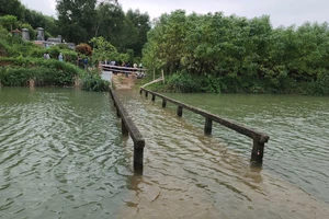 Cây cầu chìm trong nước 6 tháng mỗi năm rồi lại trồi lên ở Quảng Ngãi