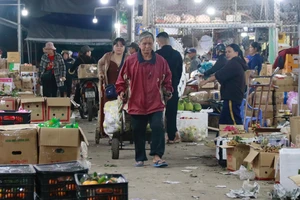 Tết của những ‘người cửu vạn’ ở chợ đầu mối lớn nhất Quảng Ngãi