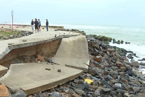 Phó Chủ tịch tỉnh Quảng Ngãi chỉ đạo khắc phục hư hỏng dải kè chống sạt lở