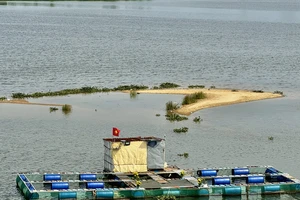 Cửa biển bồi lấp, 150 tàu cá Quảng Ngãi không thể ra khơi