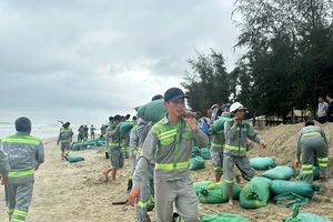 Hơn 350 người ‘cứu’ bờ biển đẹp nhất Quảng Ngãi khỏi nguy cơ bị xóa sổ