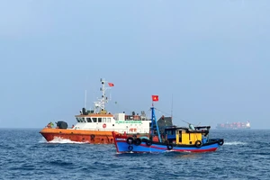 Quảng Ngãi sẽ xóa tên 129 tàu cá chưa đăng ký 