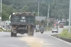 Dân gửi ảnh xe làm rơi vãi vật liệu xây dựng, công an xử phạt ngay