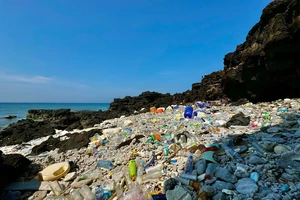 Rác thải bủa vây đảo Bé, huyện Lý Sơn không xử lý xuể