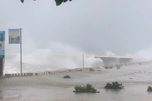 Hơn 100 du khách mắc kẹt trên đảo Lý Sơn do ảnh hưởng bão số 1