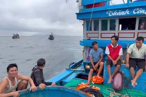 Chìm tàu cá gần đảo Lý Sơn, 11 ngư dân được cứu kịp