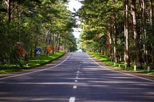 Quảng Ngãi sẵn sàng triển khai sân bay và đường sắt tốc độ cao